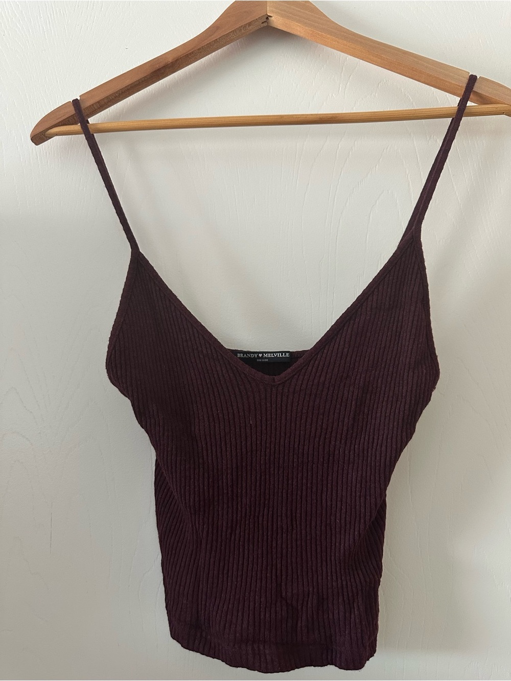 Brandy Melville Ribbed V-Neck Cami in Deep Plum
